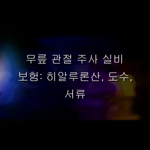 무릎 관절 주사 실비 보험: 히알루론산, 도수, 서류