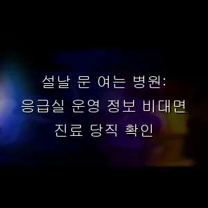 설날 문 여는 병원: 응급실 운영 정보 비대면 진료 당직 확인