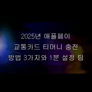 애플페이 교통카드 티머니 충전 방법 3가지와 1분 설정 팁