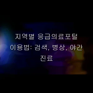 지역별 응급의료포털 이용법: 검색, 병상, 야간 진료
