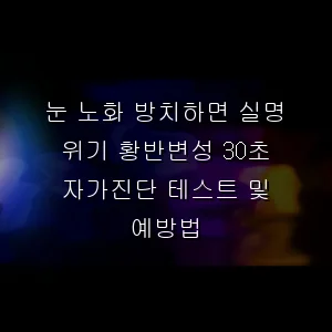 눈 노화 방치하면 실명 위기 황반변성 30초 자가진단 테스트 및 예방법