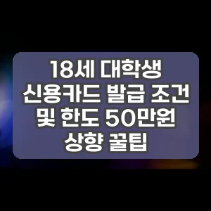 18세 대학생 신용카드 발급 조건 및 한도 50만원 상향 꿀팁