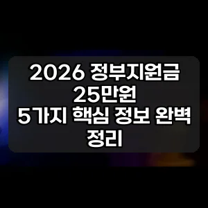 2026 정부지원금 25만원 | 5가지 핵심 정보 완벽 정리