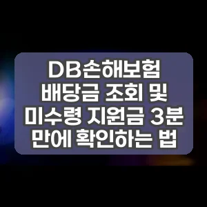 DB손해보험 배당금 조회 및 미수령 지원금 3분 만에 확인하는 법
