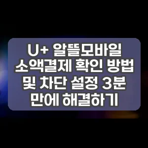 U+ 알뜰모바일 소액결제 확인 방법 및 차단 설정 3분 만에 해결하기