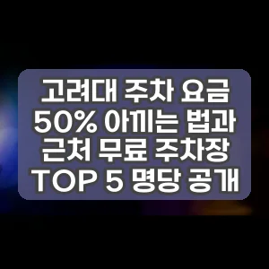 고려대 주차 요금 50% 아끼는 법과 근처 무료 주차장 TOP 5 명당 공개