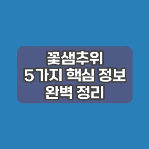 꽃샘추위 | 5가지 핵심 정보 완벽 정리