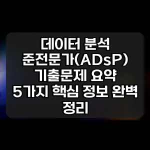 데이터 분석 준전문가(ADsP) 기출문제 요약 | 5가지 핵심 정보 완벽 정리