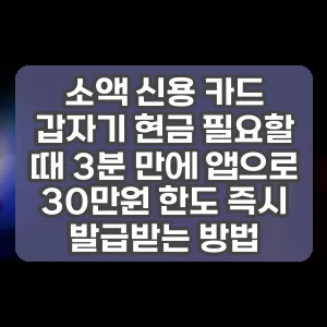 소액 신용 카드 | 갑자기 현금 필요할 때 3분 만에 앱으로 30만원 한도 즉시 발급받는 방법
