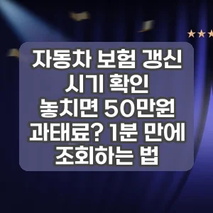 자동차 보험 갱신 시기 확인 | 놓치면 50만원 과태료? 1분 만에 조회하는 법
