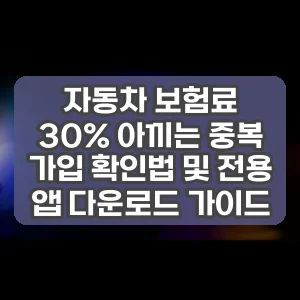 자동차 보험료 30% 아끼는 중복 가입 확인법 및 전용 앱 다운로드 가이드