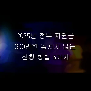 2025년 정부 지원금 300만원 놓치지 않는 신청 방법 5가지