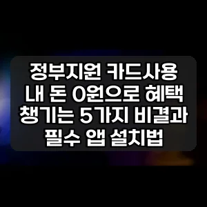 정부지원 카드사용 | 내 돈 0원으로 혜택 챙기는 5가지 비결과 필수 앱 설치법
