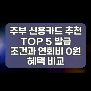 주부 신용카드 추천 TOP 5 발급 조건과 연회비 0원 혜택 비교