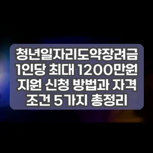 청년일자리도약장려금 1인당 최대 1200만원 지원 신청 방법과 자격 조건 5가지 총정리