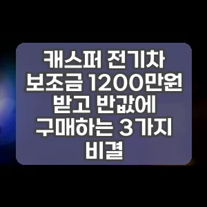 캐스퍼 전기차 보조금 1200만원 받고 반값에 구매하는 3가지 비결