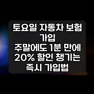 토요일 자동차 보험 가입 | 주말에도 1분 만에 20% 할인 챙기는 즉시 가입법