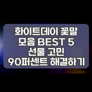 화이트데이 꽃말 모음 BEST 5 선물 고민 90퍼센트 해결하기