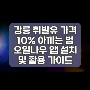 강릉 휘발유 가격 10% 아끼는 법 오일나우 앱 설치 및 활용 가이드