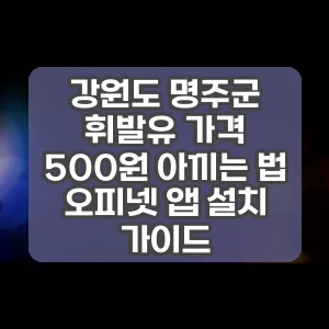 강원도 명주군 휘발유 가격 500원 아끼는 법 오피넷 앱 설치 가이드