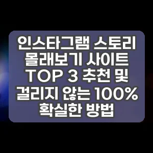 인스타그램 스토리 몰래보기 사이트 TOP 3 추천 및 걸리지 않는 100% 확실한 방법